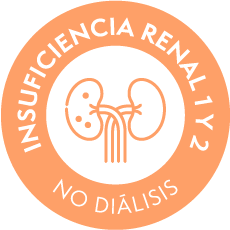 renal 1 y 2 (no dialisis)