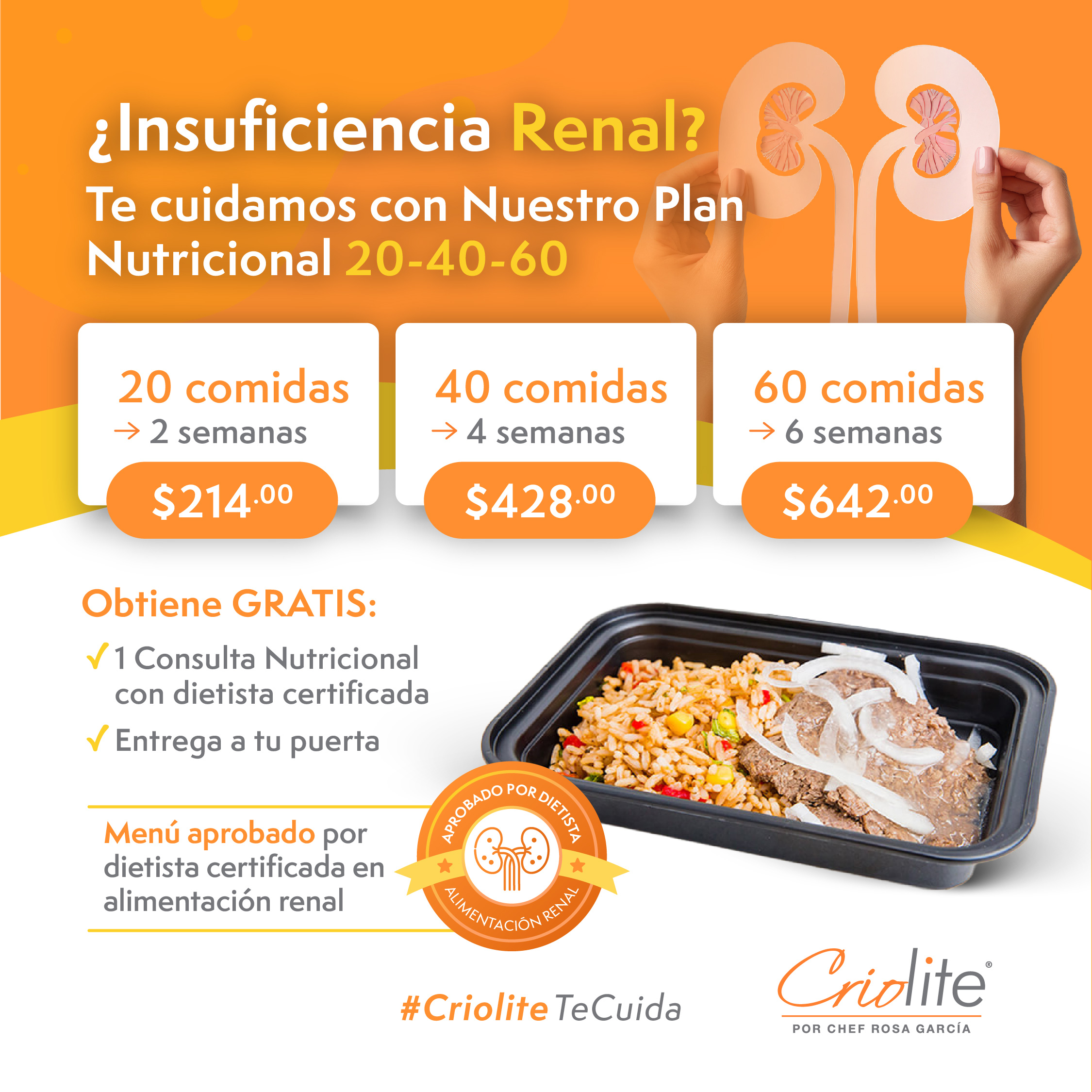 Plan Nutricional: Insuficiencia Renal (20 comidas, 2 semanas)